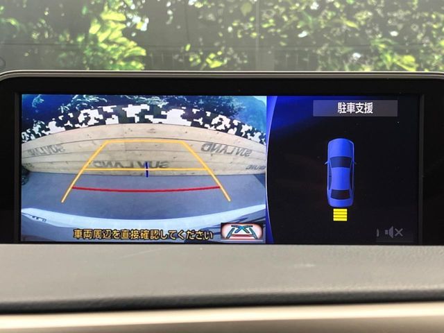 LEXUS RX200t