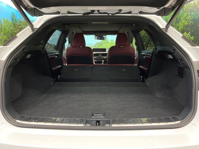 LEXUS RX200t