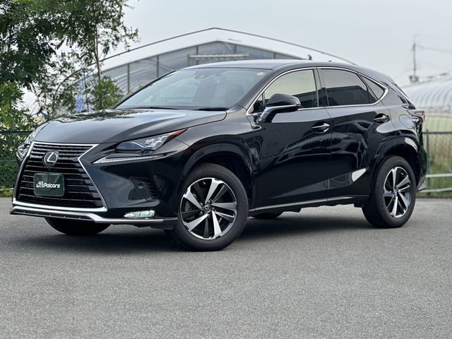 LEXUS NX300