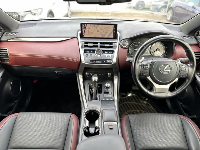 LEXUS NX300