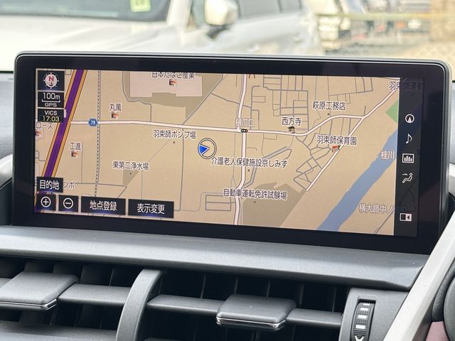 LEXUS NX300