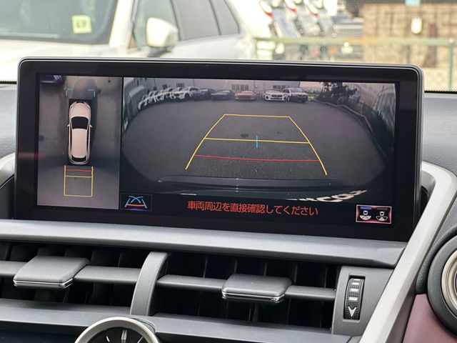 LEXUS NX300