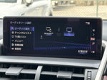 LEXUS NX300