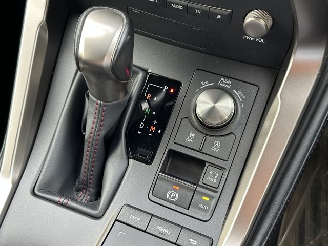 LEXUS NX300