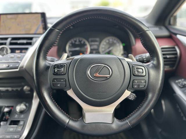 LEXUS NX300