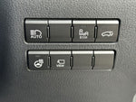LEXUS NX300