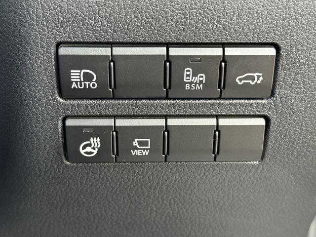 LEXUS NX300