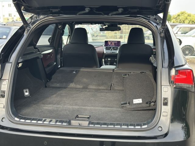 LEXUS NX300