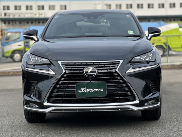 LEXUS NX300