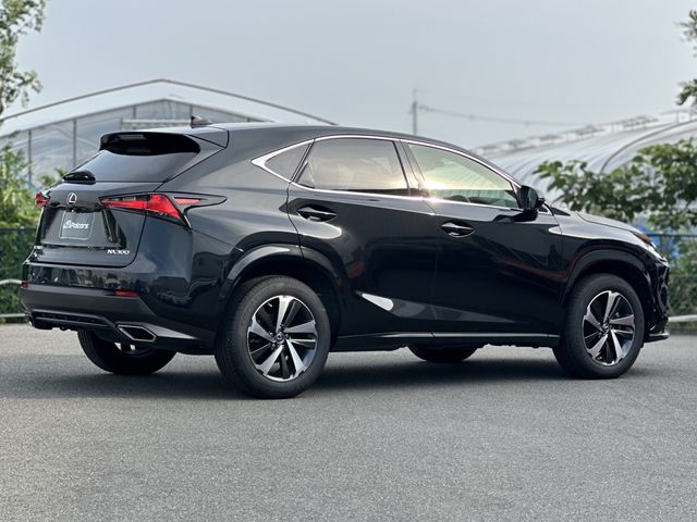 LEXUS NX300