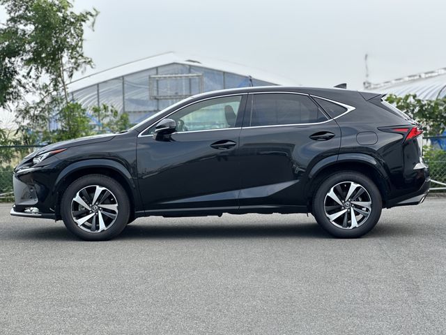 LEXUS NX300