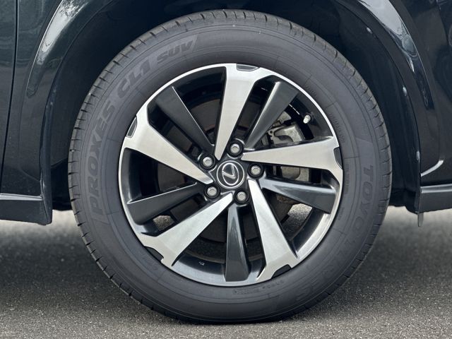LEXUS NX300