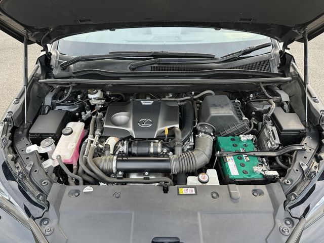 LEXUS NX300