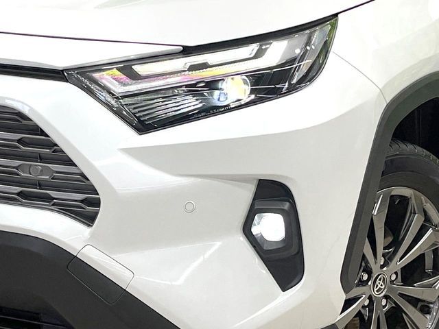 RAV4 HYBRID 4WD