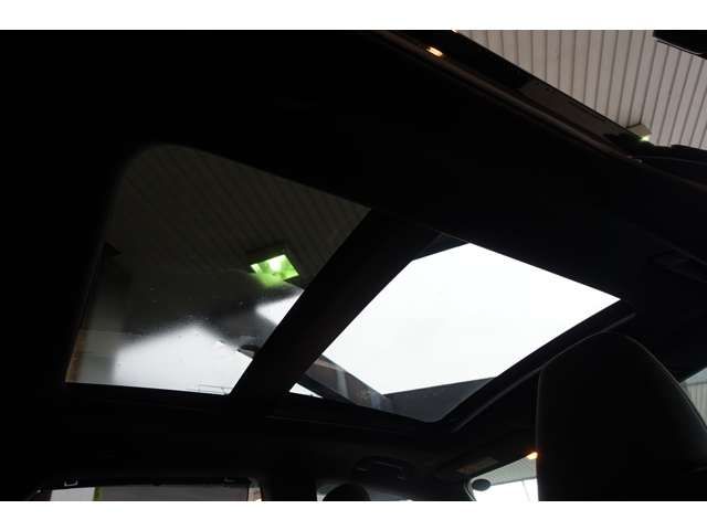 LEXUS RX450h+