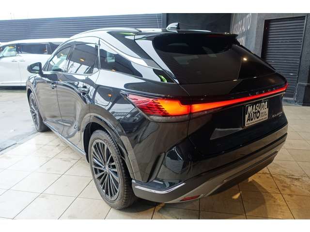 LEXUS RX450h+