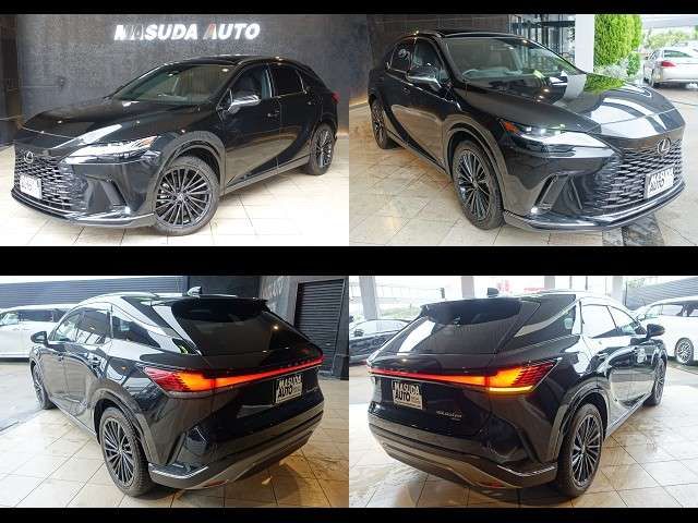 LEXUS RX450h+