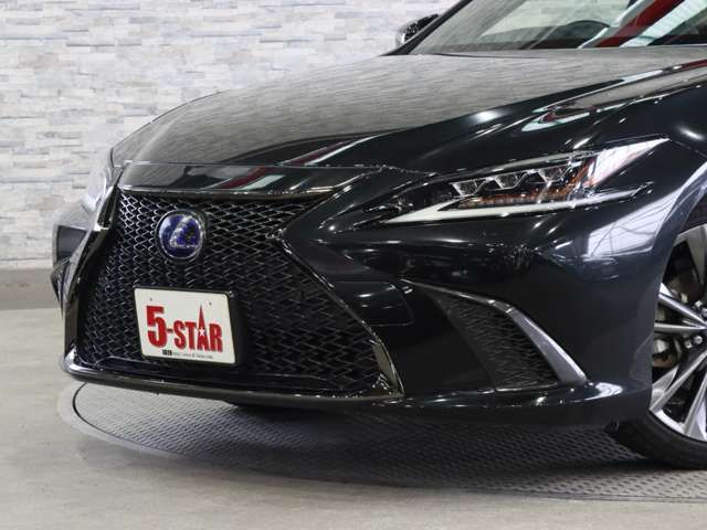 LEXUS ES300h