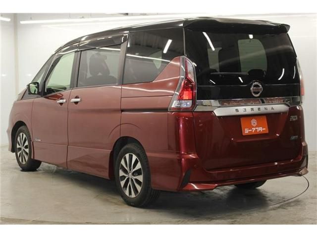 SERENA  S-HYBRID