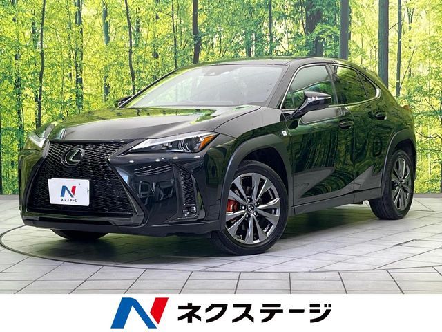 LEXUS UX250h