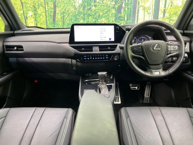 LEXUS UX250h