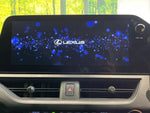 LEXUS UX250h