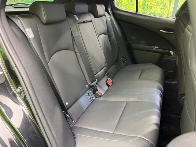 LEXUS UX250h