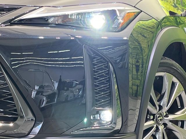 LEXUS UX250h