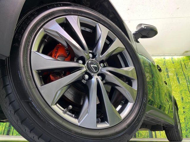 LEXUS UX250h