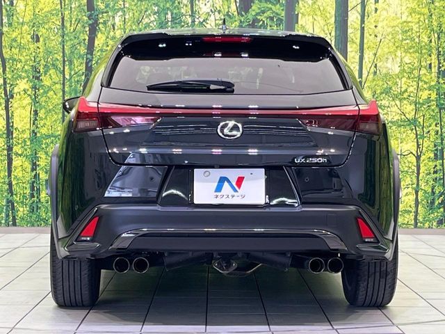 LEXUS UX250h