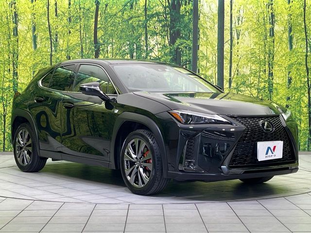 LEXUS UX250h