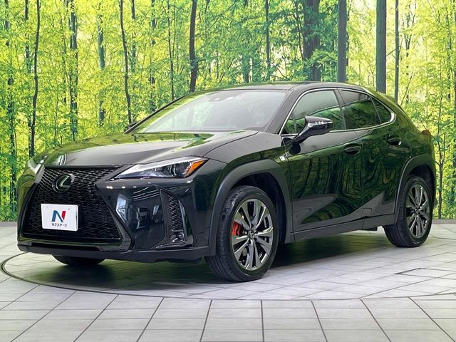 LEXUS UX250h