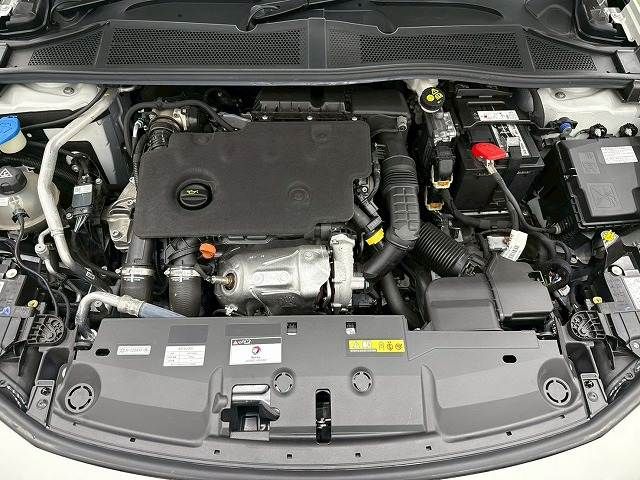 PEUGEOT 308SW
