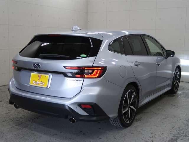 LEVORG
