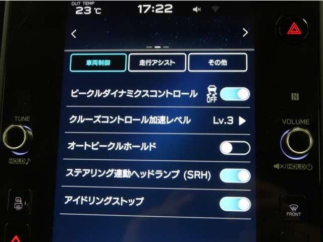 LEVORG