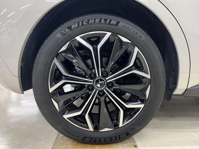CITROEN DS4