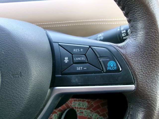 SERENA  S-HYBRID