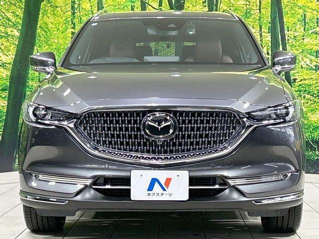 CX-8