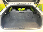 LEXUS RX300
