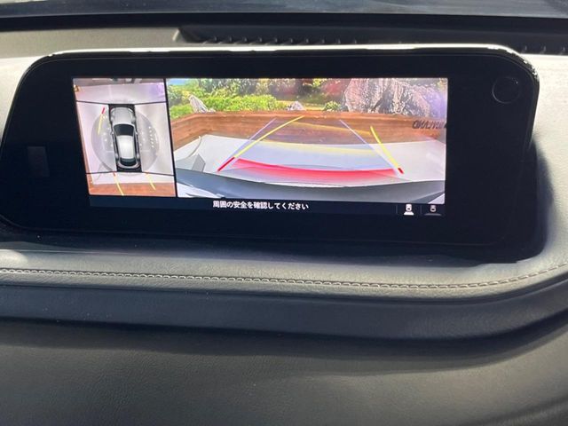 CX-30