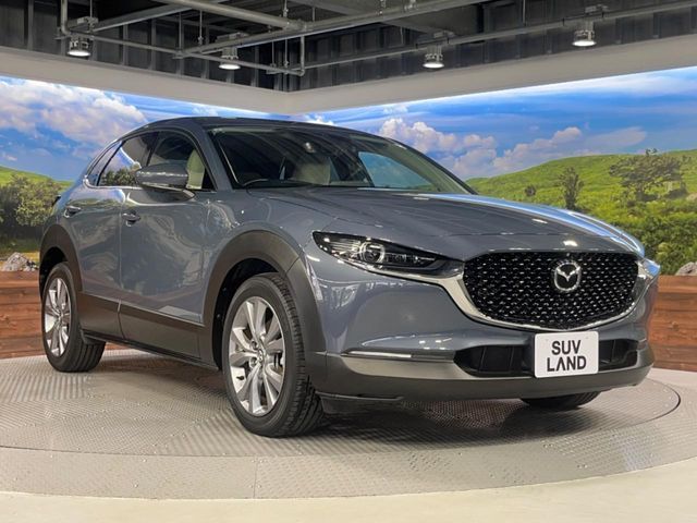CX-30