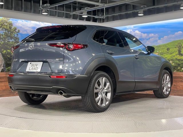 CX-30