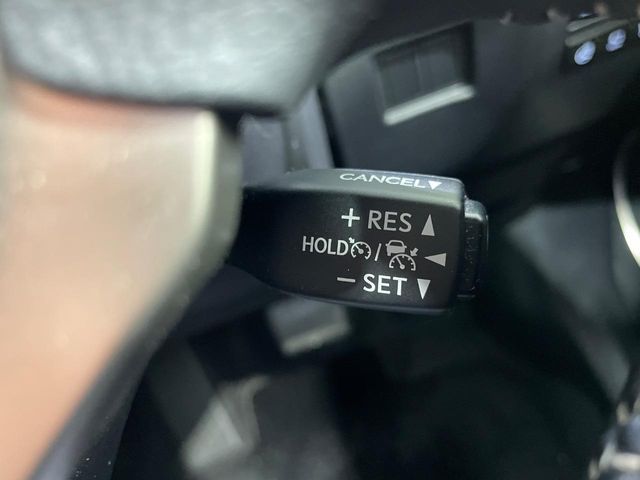 LEXUS NX300h