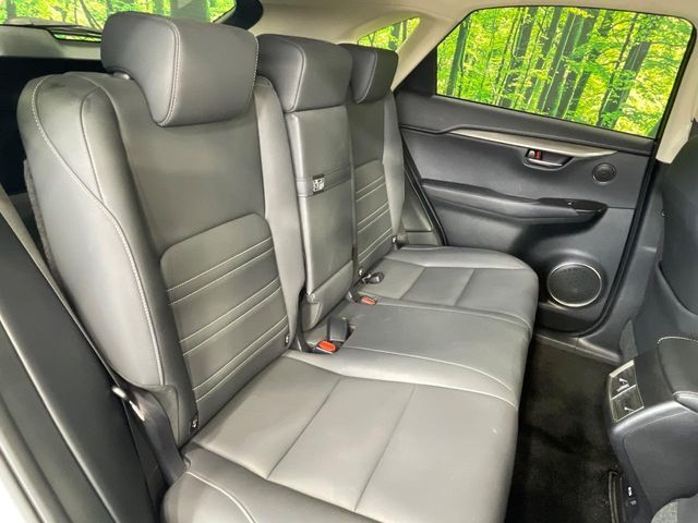 LEXUS NX300h