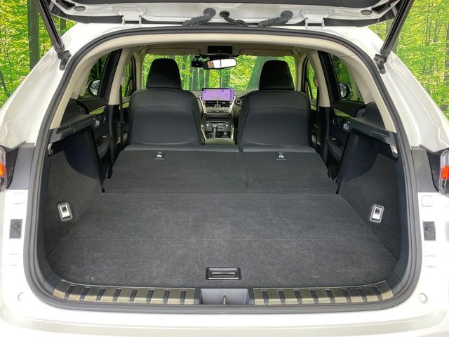 LEXUS NX300h