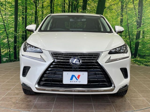 LEXUS NX300h