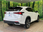 LEXUS NX300h