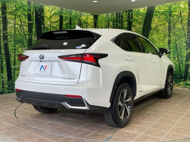 LEXUS NX300h