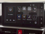 RAIZE HYBRID
