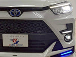 RAIZE HYBRID
